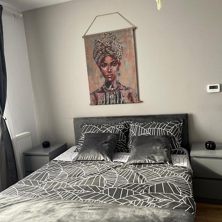 Apartament Acasa Сібіу Екстер'єр фото