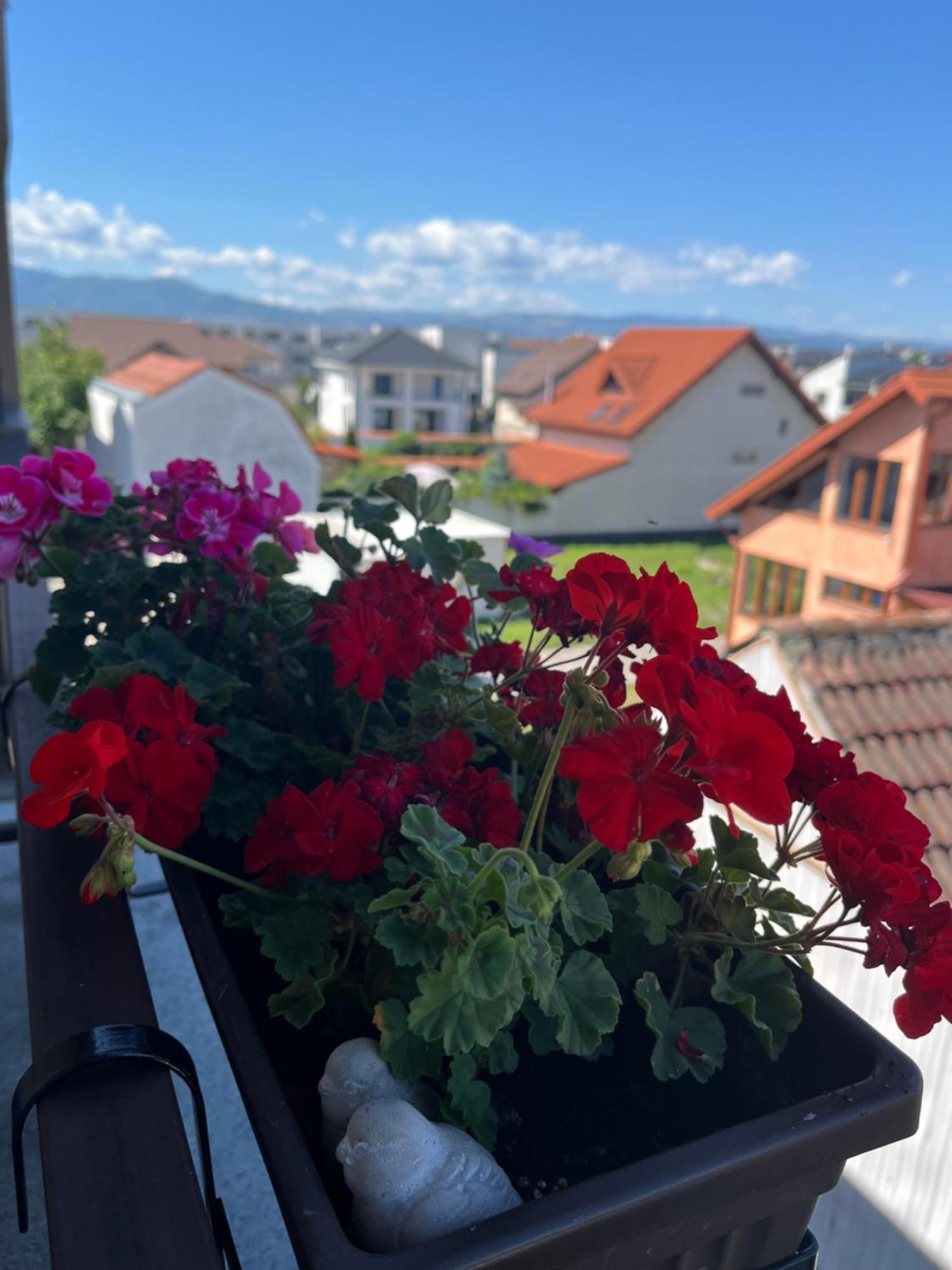 Apartament Acasa Сібіу Екстер'єр фото